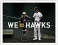 WE=HAWKS