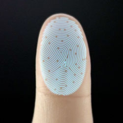 iPhone指紋データ