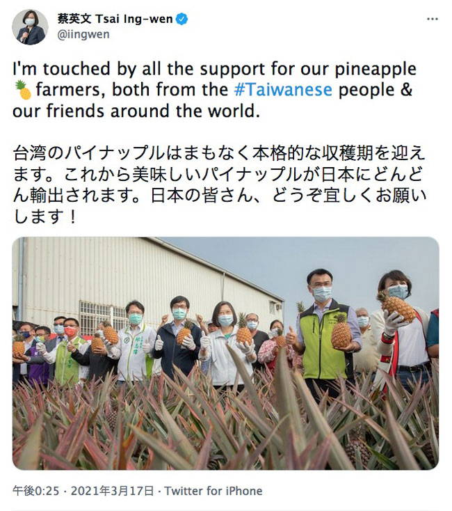 蔡英文総統：I'm touched by all the support for our pineappleパイナップルfarmers, both from the #Taiwanese people & our friends around the world. 台湾のパイナップルはまもなく本格的な収穫期を迎えます。これから美味しいパイナップルが日本にどんどん輸出されます。日本の皆さん、どうぞ宜しくお願いします！