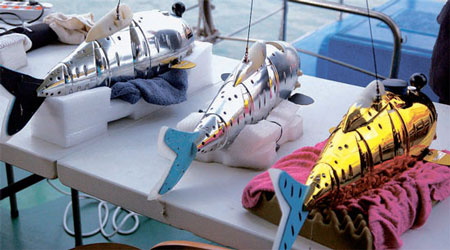 韓国の「お魚ロボット」溺死