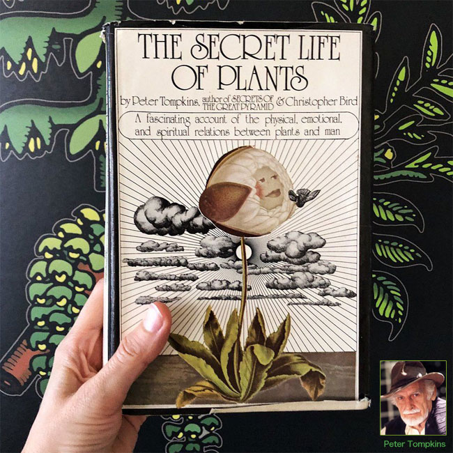 The Secret Life of Plants,植物の神秘生活, Rising Sun 旭日旗