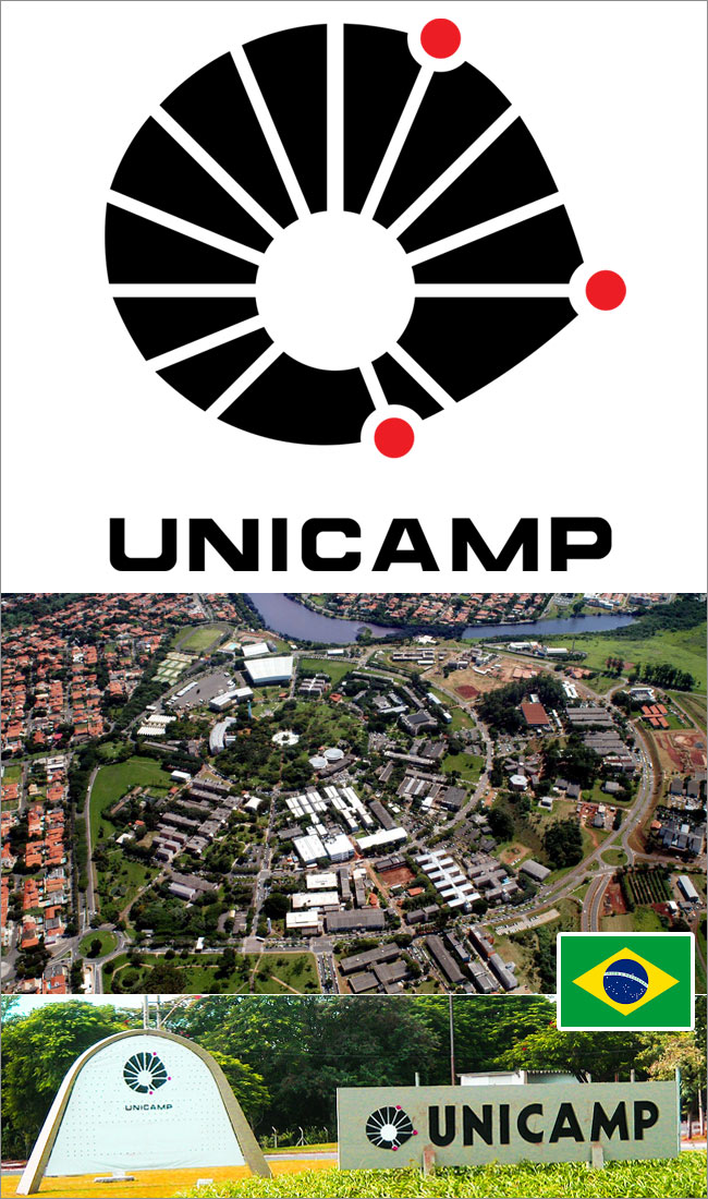 University of Campinas UNICAMP, カンピーナス州立大学, Rising Sun 旭日旗