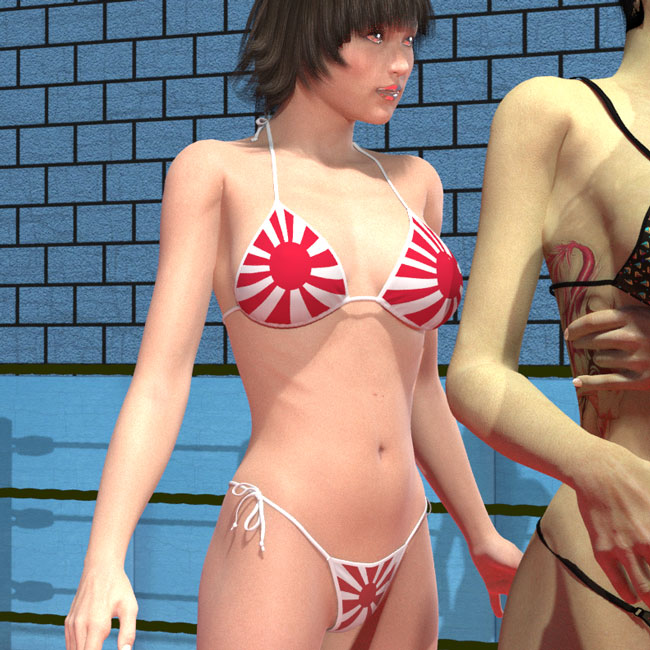 旭日旗模様ビキニ,水着, Rising Sun Bikini