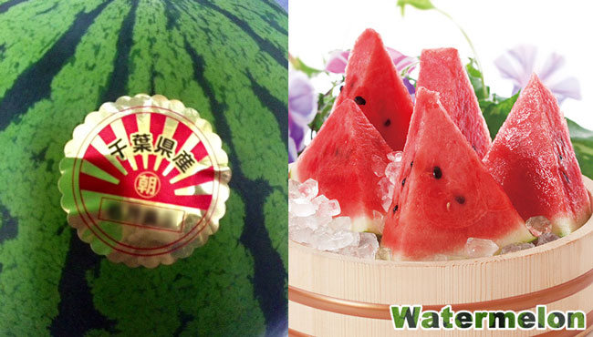 Watermelon chiba 千葉県 スイカ Rising Sun 旭日旗
